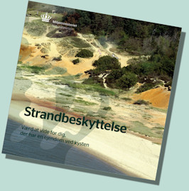 Pjece om strandbeskyttelseslinjen.pdf